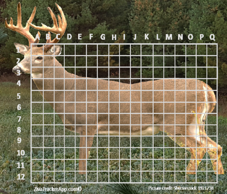 ZivaTrackerApp Shot Placement Grid